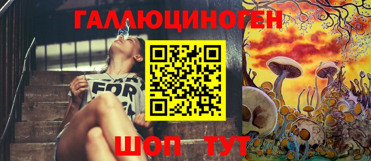 Галлюциногенные грибы Psilocybe Качканар