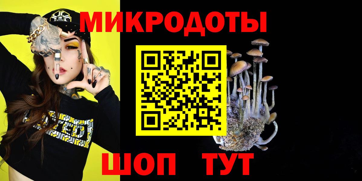 Псилоцибиновые грибы Psilocybe  Вход с VPN  Качканар 